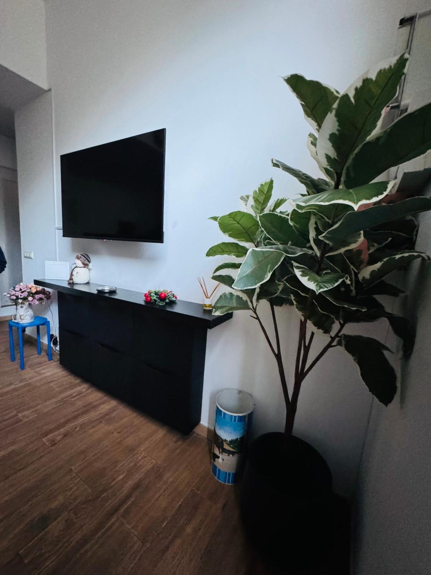 Pamis Apartament Sants, Barcelona Exteriér fotografie